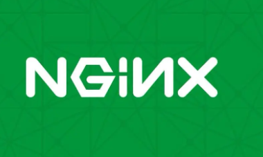 快速部署服务器【反向代理及使用说明】